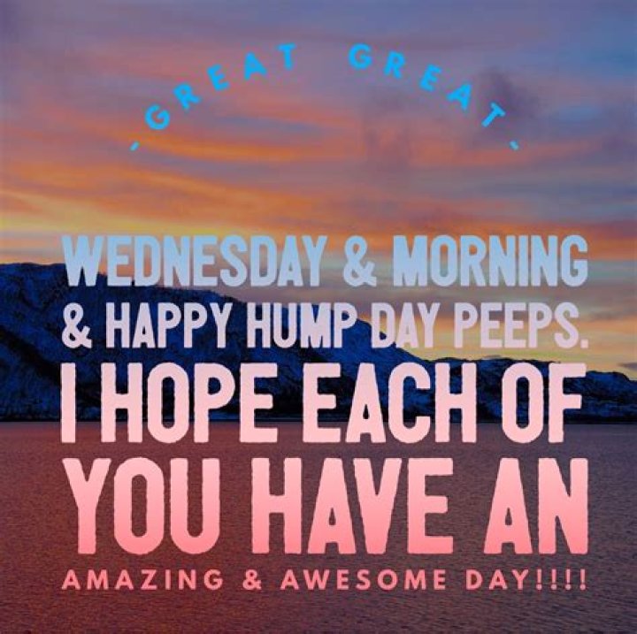 Amazing Hump Day Memes To Get You Over The Hump