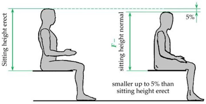 Discover Angela Lansbury's Stature: Height Revealed